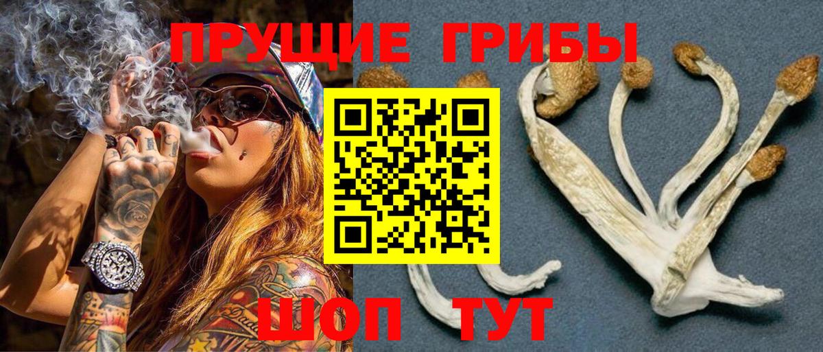 Галлюциногенные грибы MAGIC MUSHROOMS  Вход с VPN  Псилоцибиновые грибы прущие грибы  Лосино-Петровский 